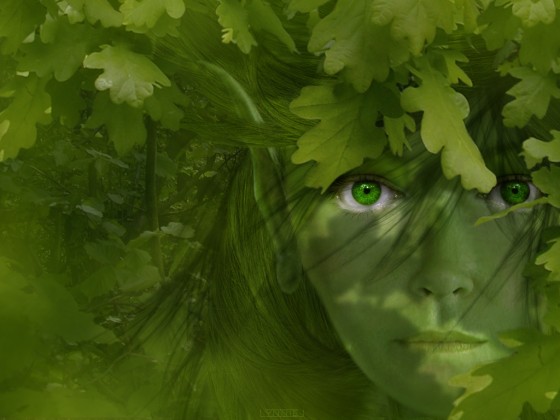 http://www.pise.cz/blog/galerie/shini/3960.jpg