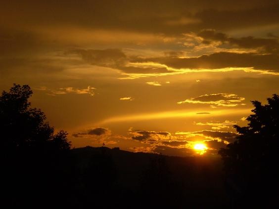 P1010003.JPG